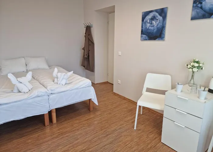 Near Center Harbour Nocleg ze śniadaniem *